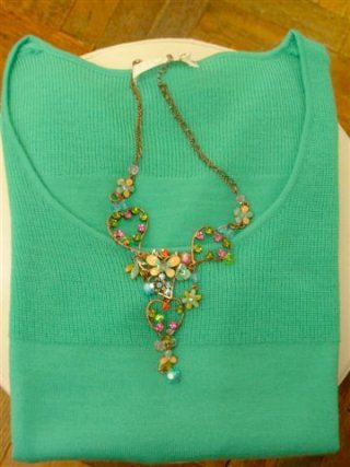 �X�����t�X�L�[�E���C���X�g�[���̃l�b�N���X