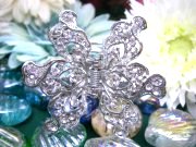 �o�^�t���C�E�w�A�N���b�v