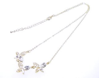 �X�����t�X�L�[�E���C���X�g�[���ƃr�[�Y�̃l�b�N���X