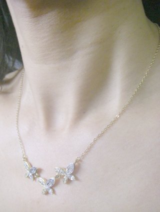 �X�����t�X�L�[�E���C���X�g�[���ƃr�[�Y�̃l�b�N���X