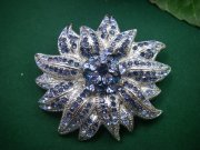 �X�����t�X�L�[�E���C���X�g�[���̃u���[�`