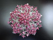 ���C���X�g�[���@�u���[�`