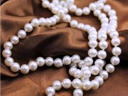 �l�H�p�[���@�l�b�N���X