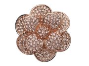 ���C���X�g�[���@�u���[�`