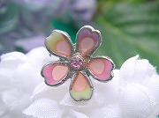 ���C���X�g�[���̂��񂴂�