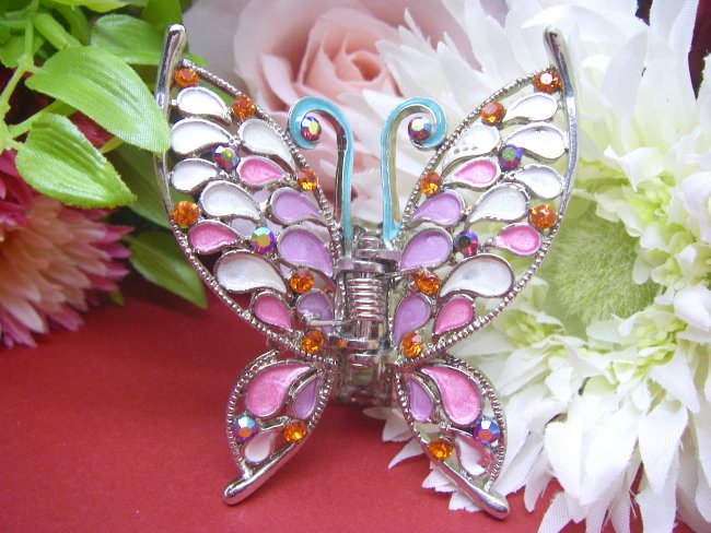 �w�A�N���b�v�@�o�^�t���C