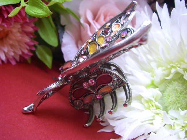 �w�A�N���b�v�@�o�^�t���C