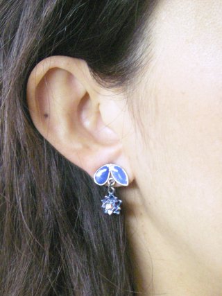 �X�����t�X�L�[�E���C���X�g�[���@�s�A�X