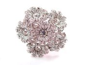 �X�����t�X�L�[�E�����O