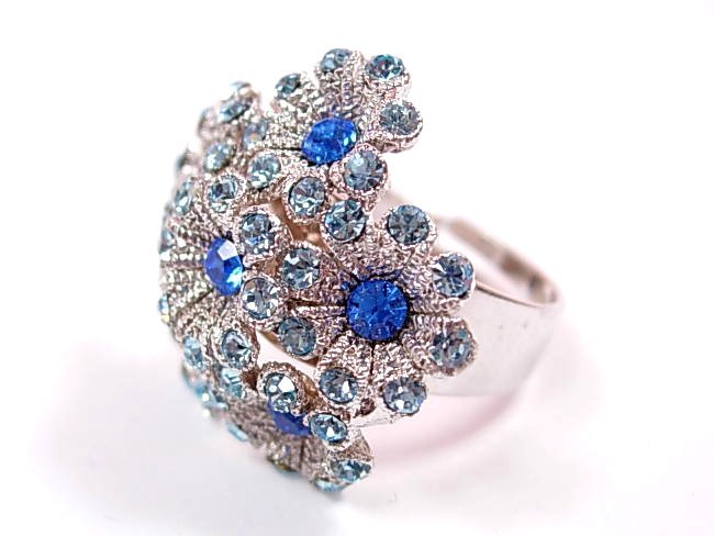 �X�����t�X�L�[�E���C���X�g�[���@�����O