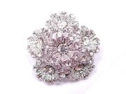 �X�����t�X�L�[�E���C���X�g�[���ƃr�[�Y�̃l�b�N���X