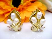 �p�[���ƃL���[�r�b�N�̃s�A�X