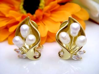 �L���[�r�b�N�W���R�j�A�@�}�W�����J�p�[���@�C�������O�A�s�A�X