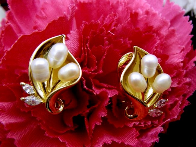 �L���[�r�b�N�W���R�j�A�@�}�W�����J�p�[���@�s�A�X