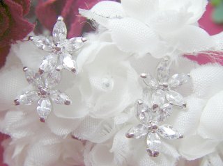 CZ�@SV�L���[�r�b�N�W���R�j�A�̃s�A�X