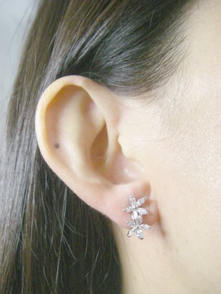 CZ�@SV�L���[�r�b�N�W���R�j�A�̃s�A�X