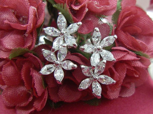 CZ�@SV�L���[�r�b�N�W���R�j�A�̃s�A�X