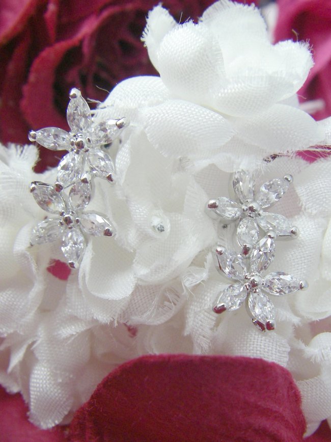 CZ�@SV�L���[�r�b�N�W���R�j�A�̃s�A�X