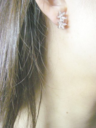 CZ�@SV�L���[�r�b�N�W���R�j�A�̃s�A�X