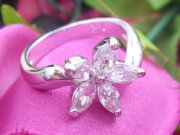 �L���[�r�b�N�W���R�j�A�@�t�����[�w�ցi�����O�j�iJ10021)