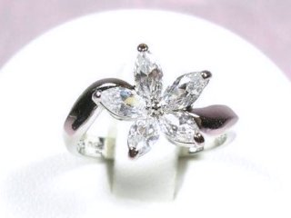 cz �����O�@�t�����[���`�[�t