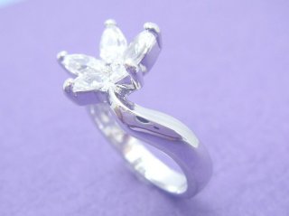 �t�����[���`�[�t�@�����O