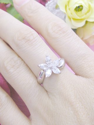 �t�����[���`�[�t�@�����O