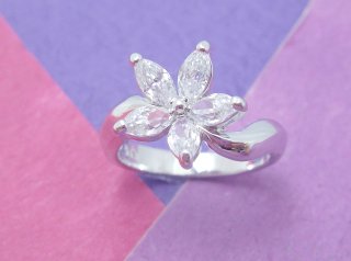 cz �����O�@�t�����[���`�[�t