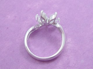 cz �����O�@�t�����[���`�[�t