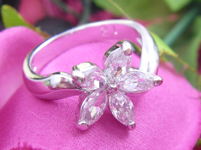 cz �����O�@�t�����[���`�[�t