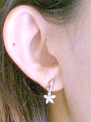 CZ�@SV�L���[�r�b�N�W���R�j�A�@�s�A�X