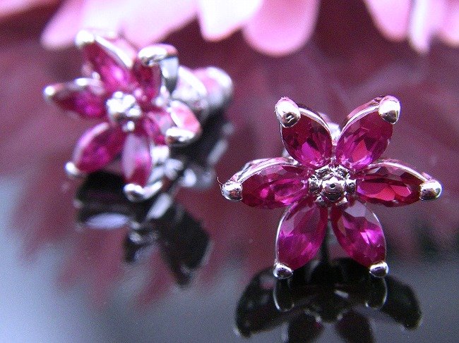 ���r�[�@�A�N�Z�T���[�s�A�X