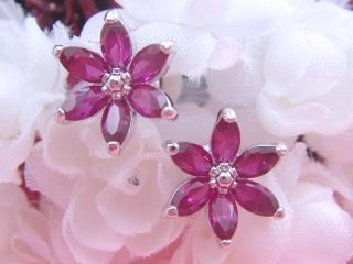 ���r�[�@�V���Z�e�b�N�X�g�[���@�s�A�X