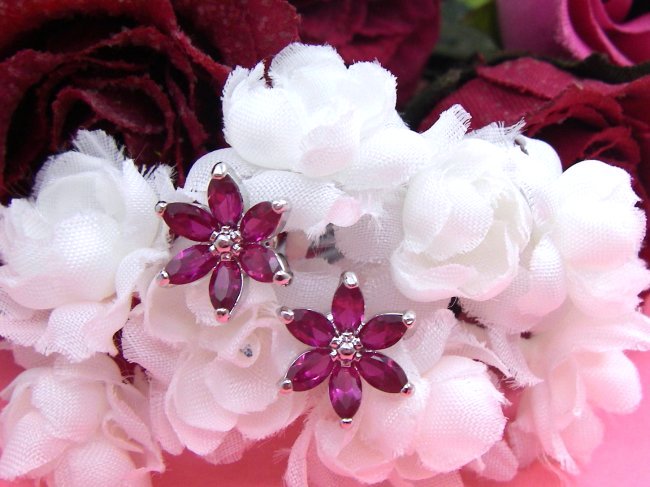 ���r�[�@�A�N�Z�T���[�s�A�X