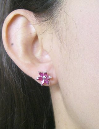 ���r�[�@�A�N�Z�T���[�s�A�X