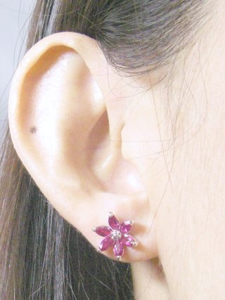 ���r�[�@�A�N�Z�T���[�s�A�X