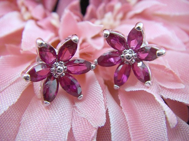 ���r�[�@�A�N�Z�T���[�s�A�X