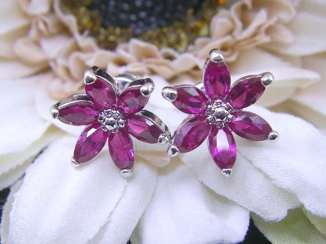 ���r�[�@�A�N�Z�T���[�s�A�X