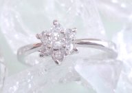 �L���[�r�b�N�W���R�j�A�@�t�����[�i�����O�j�w�ց@�iJ10033�j