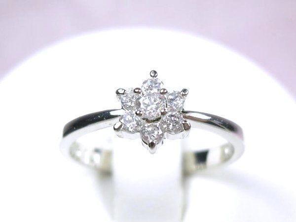 �t�����[���`�[�t�@�L���[�r�b�N�W���R�j�A�̃����O�i�w�ցj