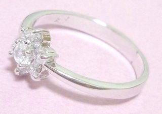 �t�����[���`�[�t�@�L���[�r�b�N�W���R�j�A�̃����O�i�w�ցj