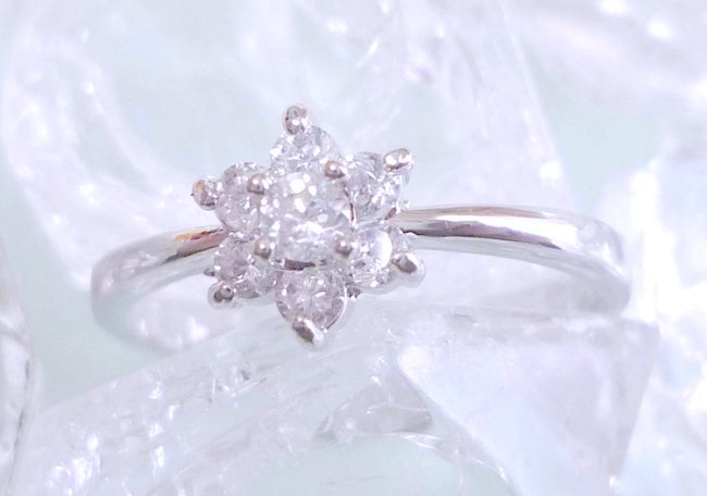 �t�����[���`�[�t�@�L���[�r�b�N�W���R�j�A�̃����O�i�w�ցj