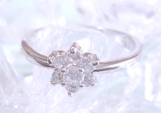 �t�����[���`�[�t�@�L���[�r�b�N�W���R�j�A�̃����O�i�w�ցj