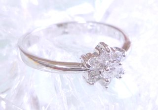 �t�����[���`�[�t�@�L���[�r�b�N�W���R�j�A�̃����O�i�w�ցj