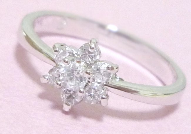 �t�����[���`�[�t�@�L���[�r�b�N�W���R�j�A�̃����O�i�w�ցj