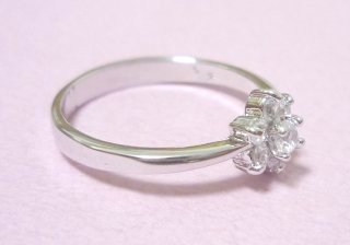 �t�����[���`�[�t�@�L���[�r�b�N�W���R�j�A�̃����O�i�w�ցj