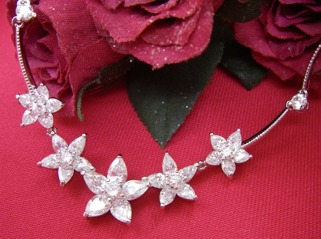 �t�����[���`�[�t�@�L���[�r�b�N�W���R�j�A�̃l�b�N���X