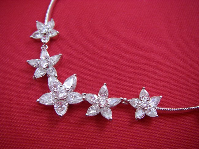 �t�����[���`�[�t�@�L���[�r�b�N�W���R�j�A�̃l�b�N���X