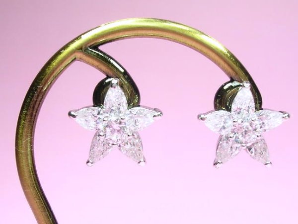 �t�����[���`�[�t�@�L���[�r�b�N�W���R�j�A�̃C�������O