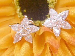 SV�@�L���[�r�b�N�W���R�j�A�̃C�������O�@�s�A�X